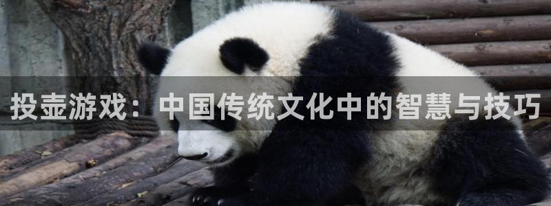 投壶游戏：中国传统文化中的智慧与技巧
