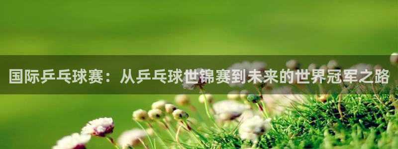 857免费nba在线直播观看：国际乒乓球赛：从乒乓球世锦赛到未来的世界冠军之路