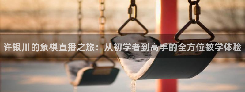 857赛事直播平台：许银川的象棋直播之旅：从初学者到高手的全方位教学体验