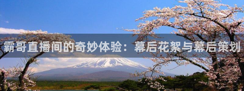 857体育直播免费看：霸哥直播间的奇妙体验：幕后花絮与幕后策划