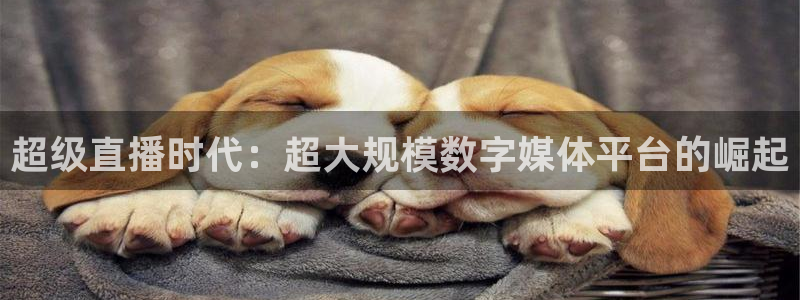 857体育赛事直播.新网页.org：超级直播时代：超大规模数字媒体平台的崛起