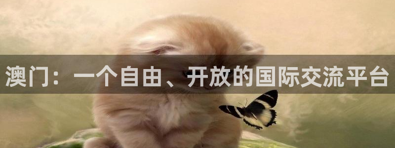 857足球直播平台：澳门：一个自由、开放的国际交流平台