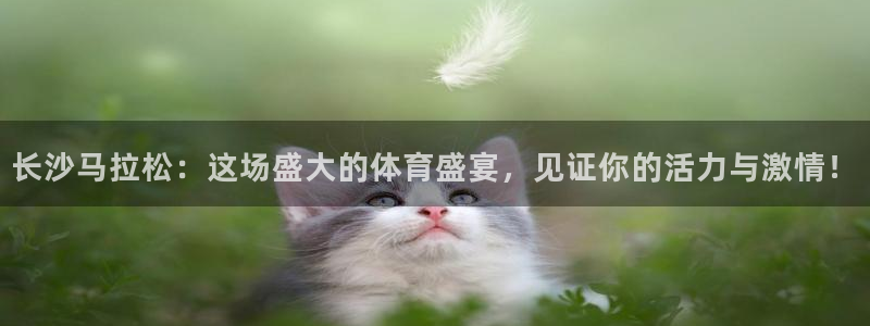857ty体育直播：长沙马拉松：这场盛大的体育盛宴，见证你的活力与激情！