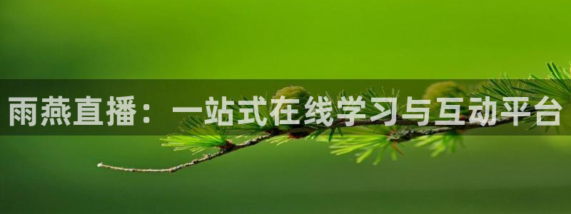 857体育直播在线观看：雨燕直播：一站式在线学习与互动平台