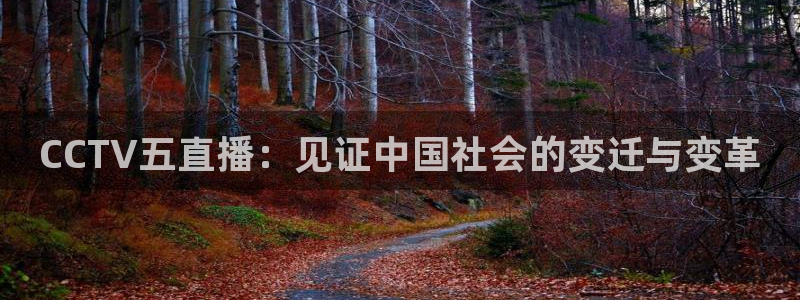857直播体育直播：CCTV五直播：见证中国社会的变迁与变革